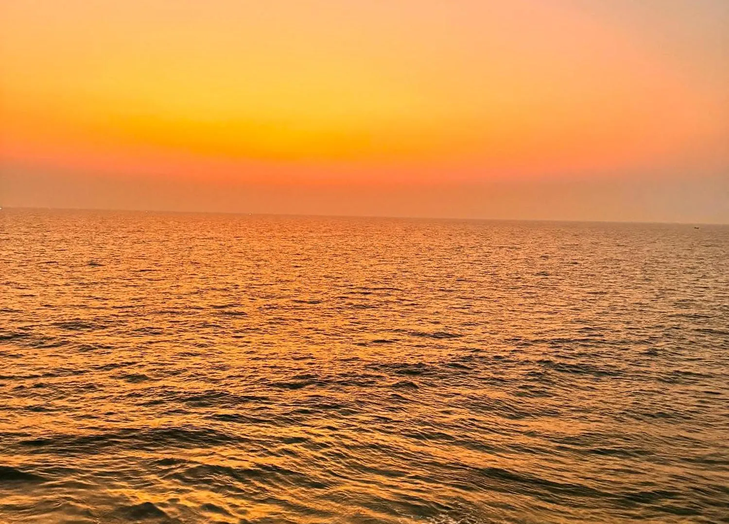 Villa Costera Homestay Varkala India